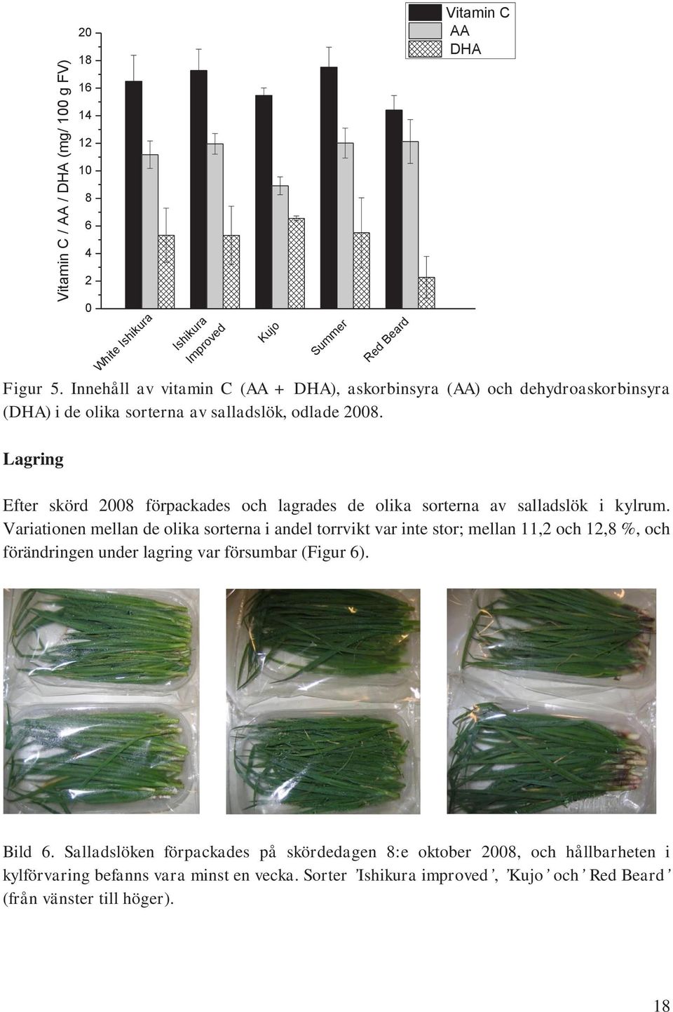 Lagring Efter skörd 2008 förpackades och lagrades de olika sorterna av salladslök i kylrum.