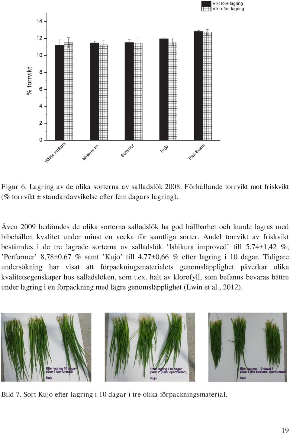 Även 2009 bedömdes de olika sorterna salladslök ha god hållbarhet och kunde lagras med bibehållen kvalitet under minst en vecka för samtliga sorter.
