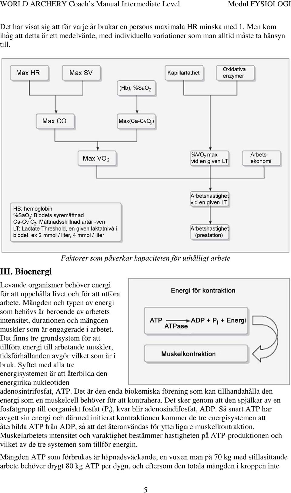 Mängden och typen av energi som behövs är beroende av arbetets intensitet, durationen och mängden muskler som är engagerade i arbetet.