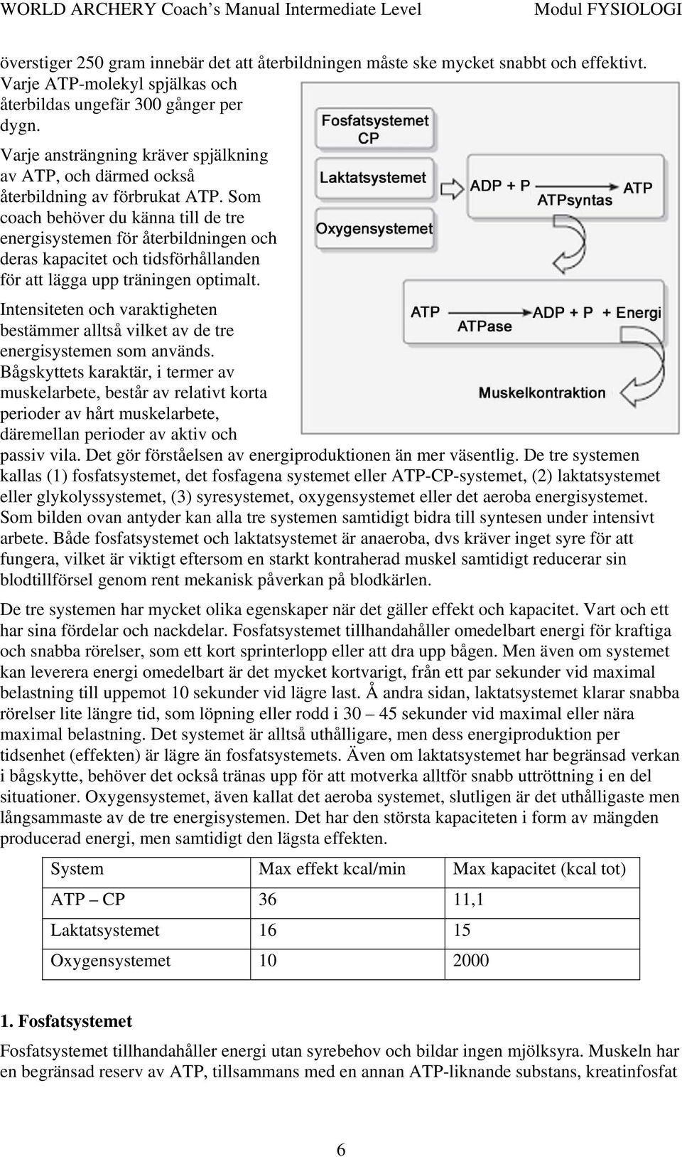 Som coach behöver du känna till de tre energisystemen för återbildningen och deras kapacitet och tidsförhållanden för att lägga upp träningen optimalt.