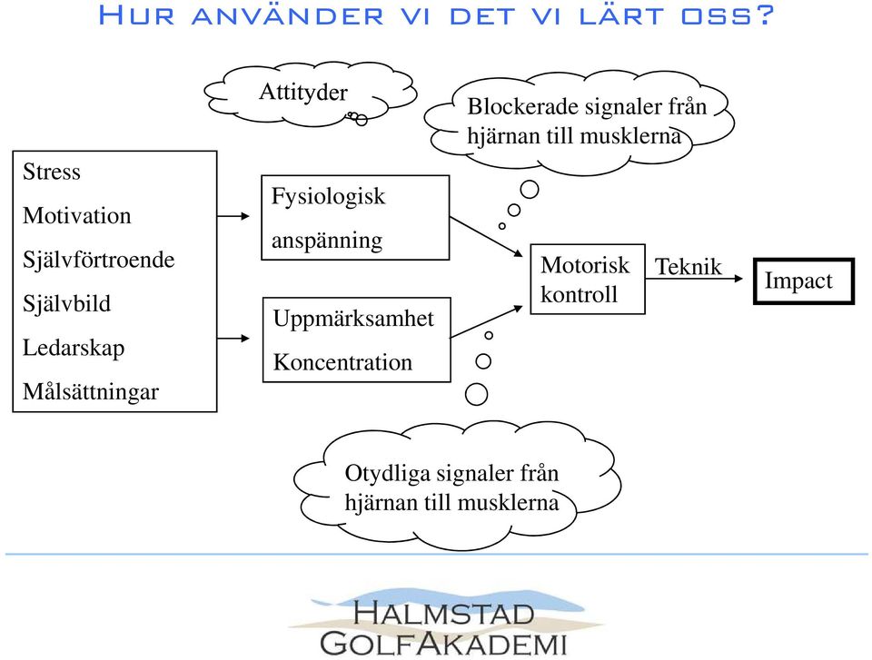 Självförtroende Självbild Ledarskap Målsättningar Fysiologisk