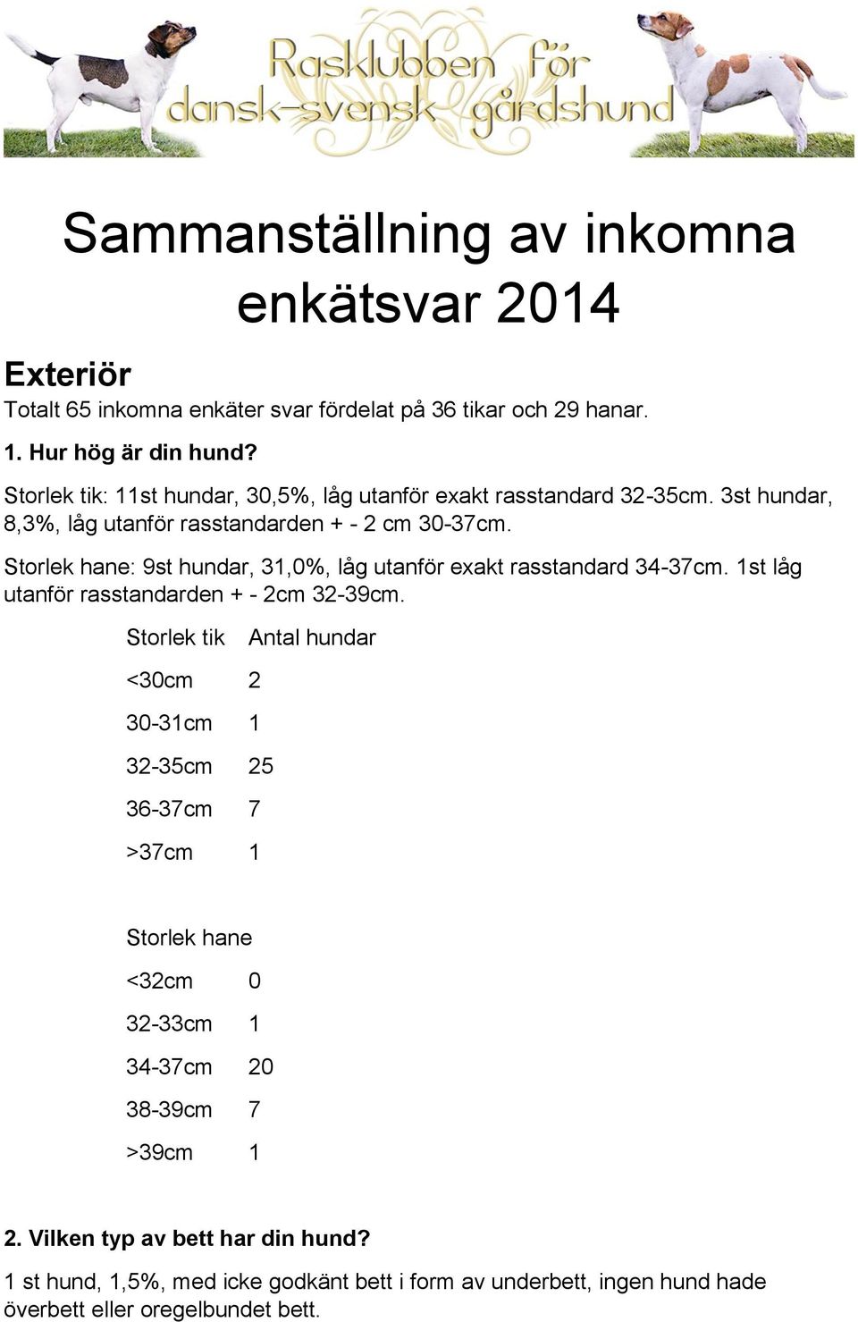 Storlek hane: 9st hundar, 31,0%, låg utanför exakt rasstandard 34-37cm. 1st låg utanför rasstandarden + - 2cm 32-39cm.