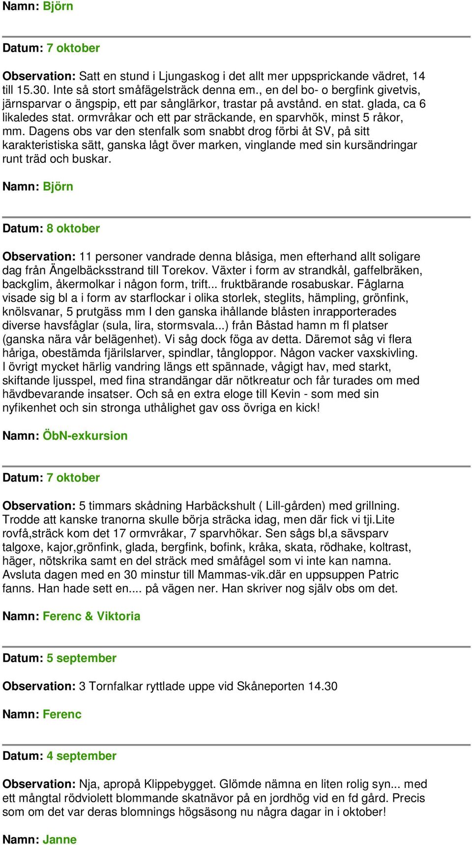 Dagens obs var den stenfalk som snabbt drog förbi åt SV, på sitt karakteristiska sätt, ganska lågt över marken, vinglande med sin kursändringar runt träd och buskar.