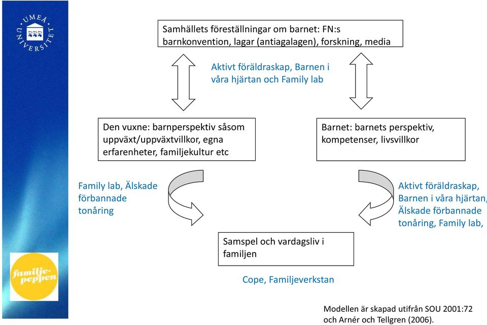 perspektiv, kompetenser, livsvillkor Family lab, Älskade förbannade tonåring Samspel och vardagsliv i familjen Cope, Familjeverkstan