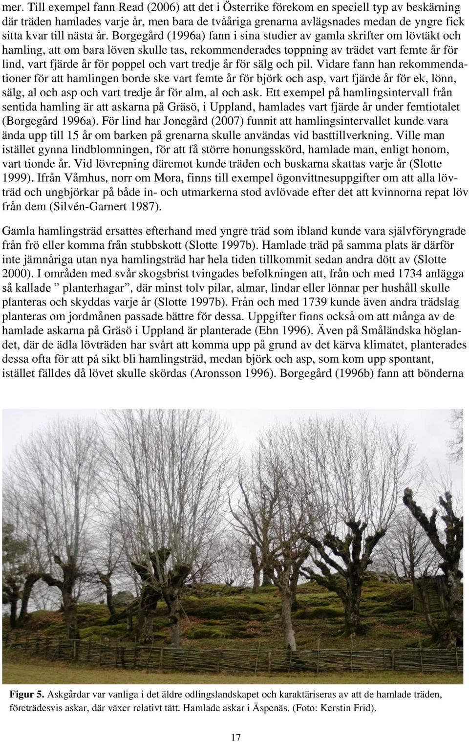 Borgegård (1996a) fann i sina studier av gamla skrifter om lövtäkt och hamling, att om bara löven skulle tas, rekommenderades toppning av trädet vart femte år för lind, vart fjärde år för poppel och