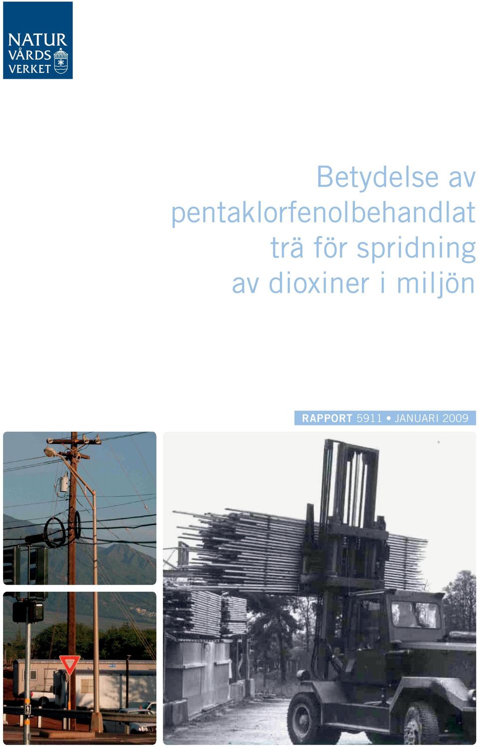 Rapporten redovisar resultat från litteratur och kunskapssammanställning inom området samt också kemiska analyser av några utvalda produkter.