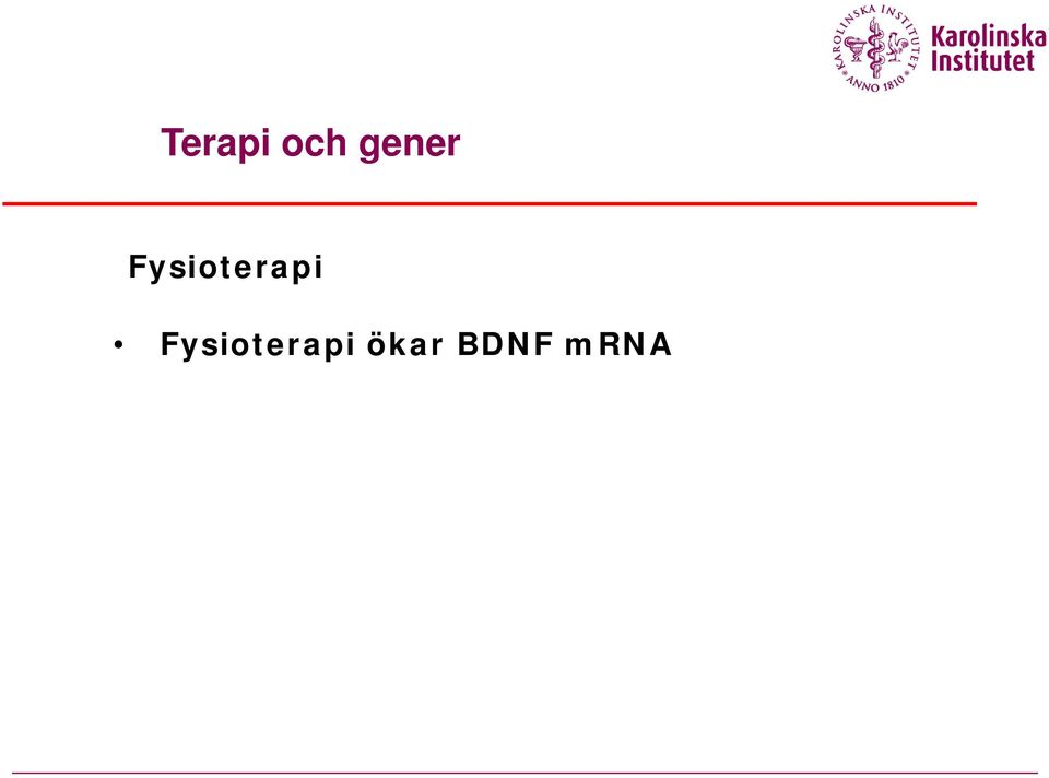 Fysioterapi