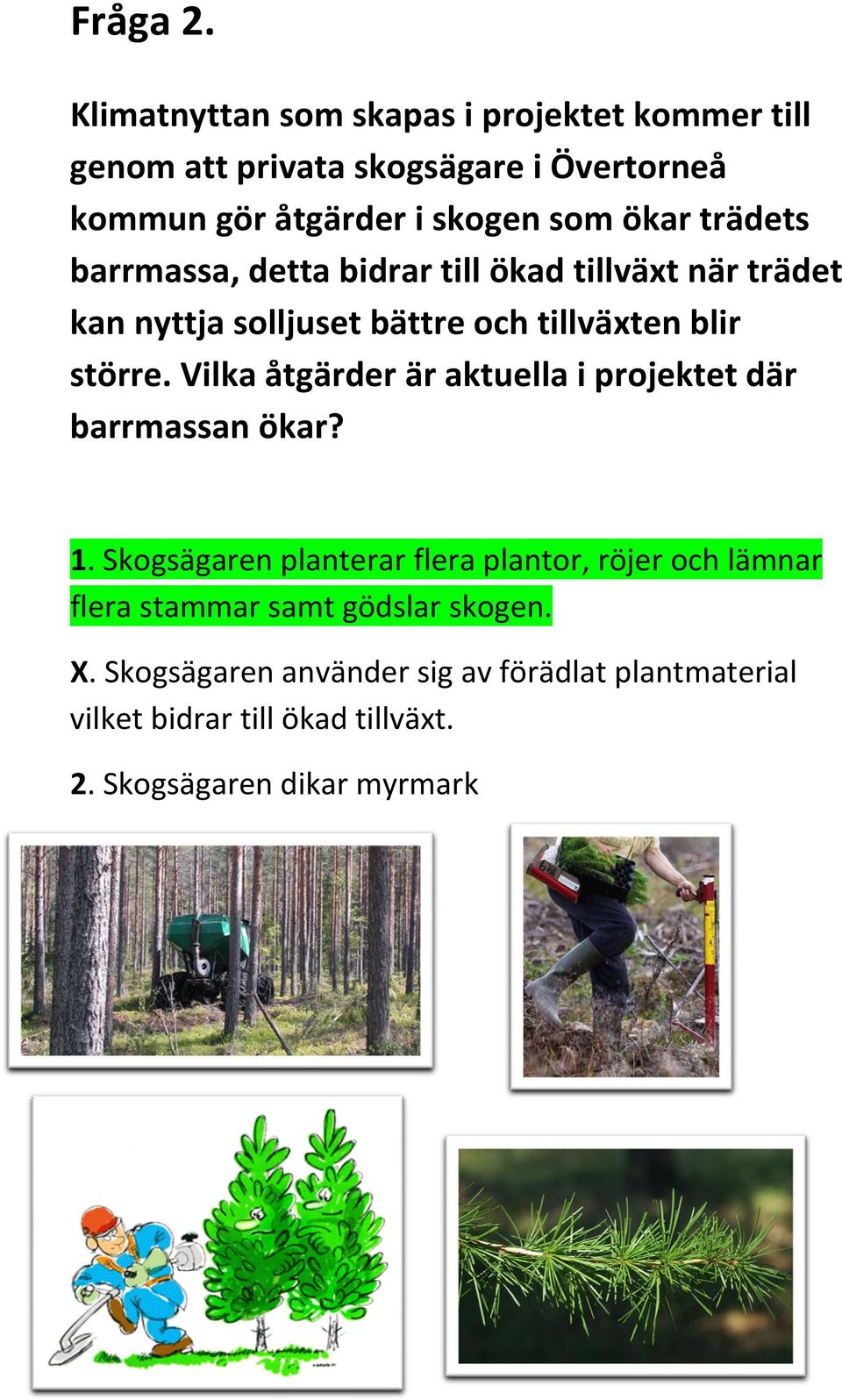 trädets barrmassa, detta bidrar till ökad tillväxt när trädet kan nyttja solljuset bättre och tillväxten blir större.