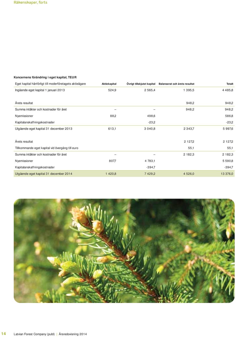 Kapitalanskaffningskostnader -23,2-23,2 Utgående eget kapital 31 december 2013 613,1 3 040,8 2 343,7 5 997,6 Årets resultat 2 127,2 2 127,2 Tillkommande eget kapital vid övergång till euro 55,1 55,1