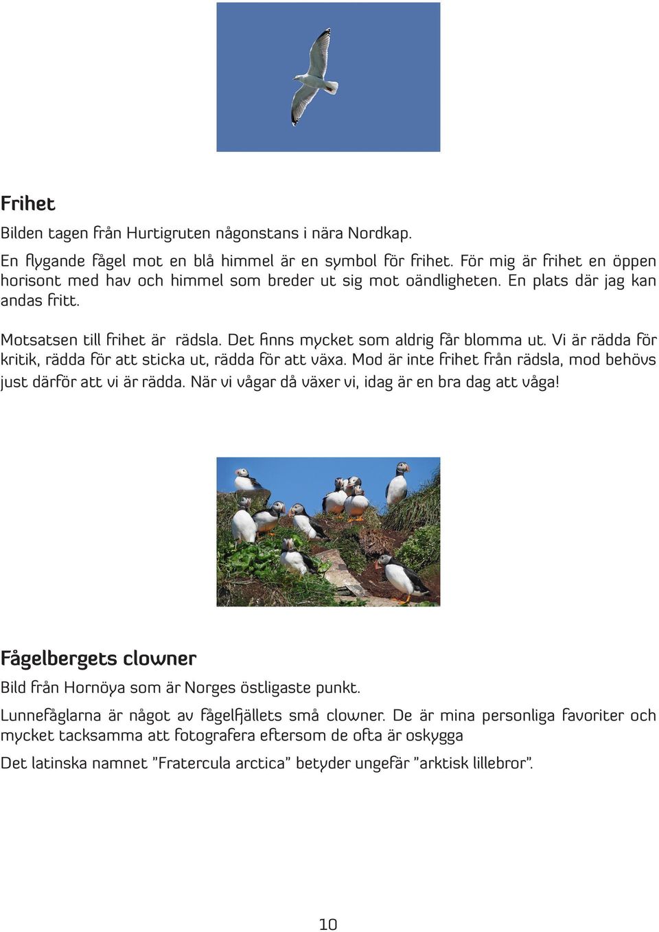 Vi är rädda för kritik, rädda för att sticka ut, rädda för att växa. Mod är inte frihet från rädsla, mod behövs just därför att vi är rädda. När vi vågar då växer vi, idag är en bra dag att våga!