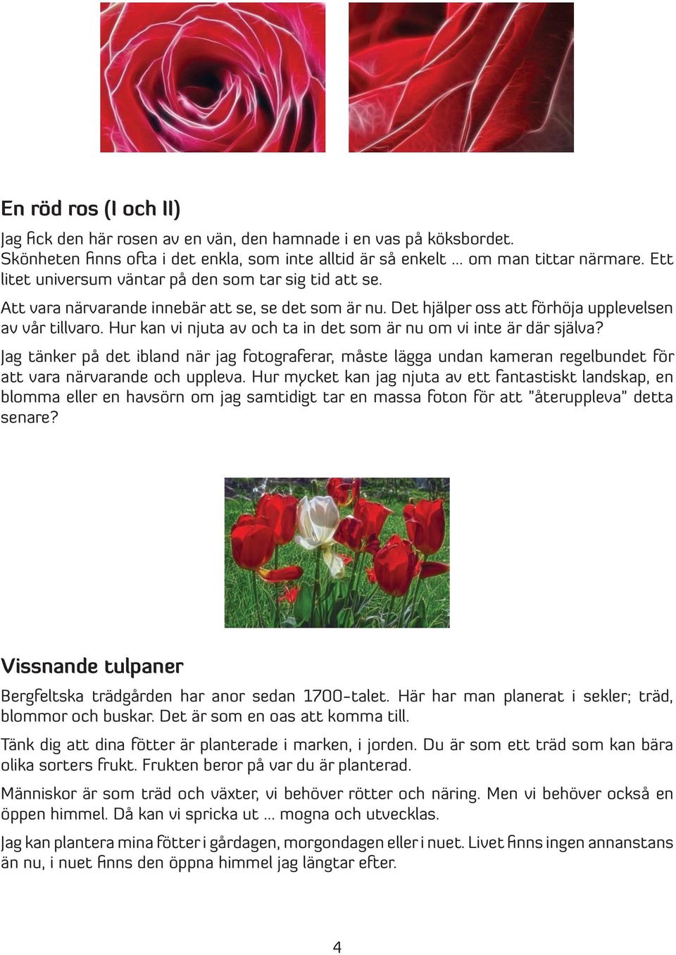 Hur kan vi njuta av och ta in det som är nu om vi inte är där själva? Jag tänker på det ibland när jag fotograferar, måste lägga undan kameran regelbundet för att vara närvarande och uppleva.
