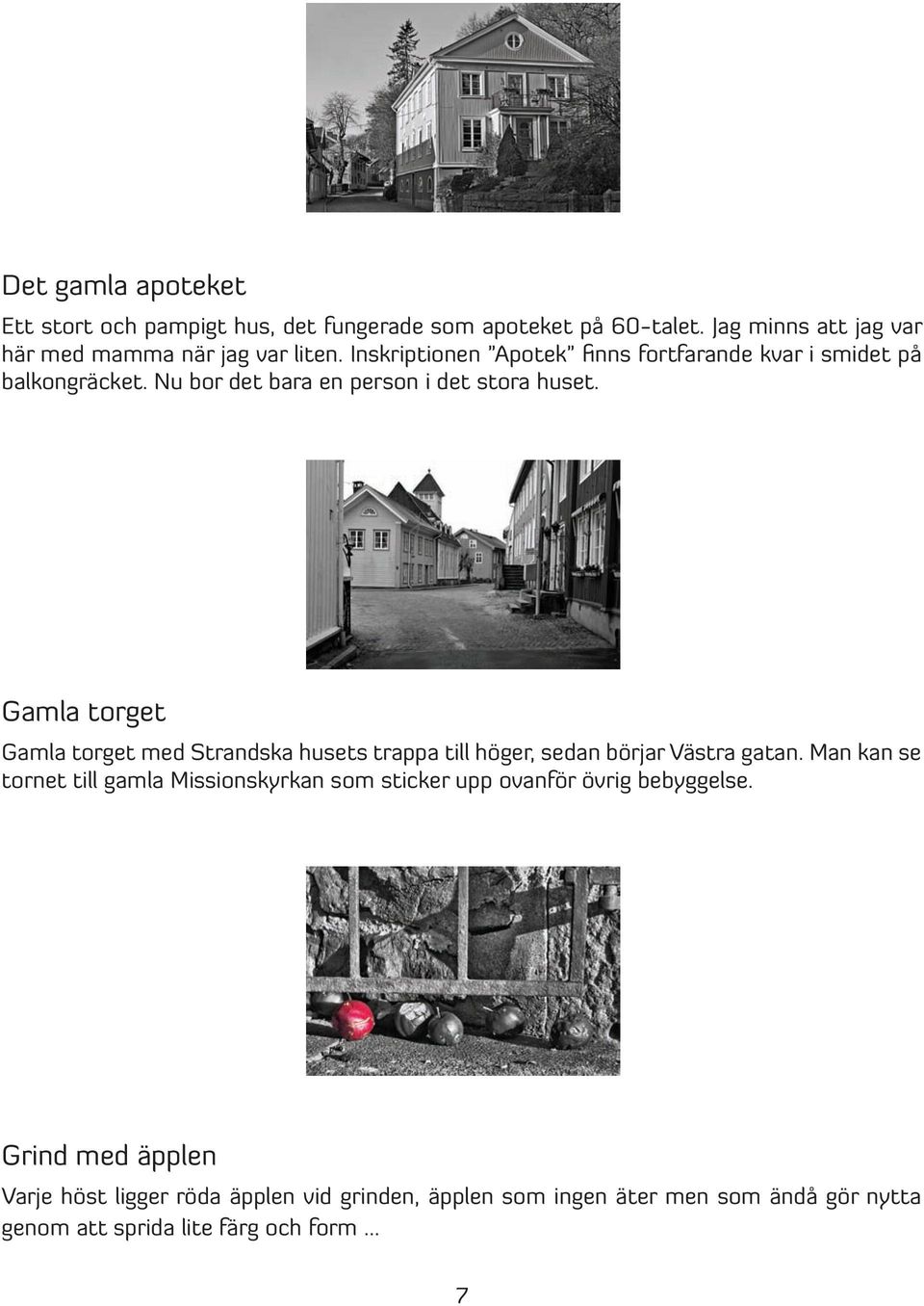 Gamla torget Gamla torget med Strandska husets trappa till höger, sedan börjar Västra gatan.