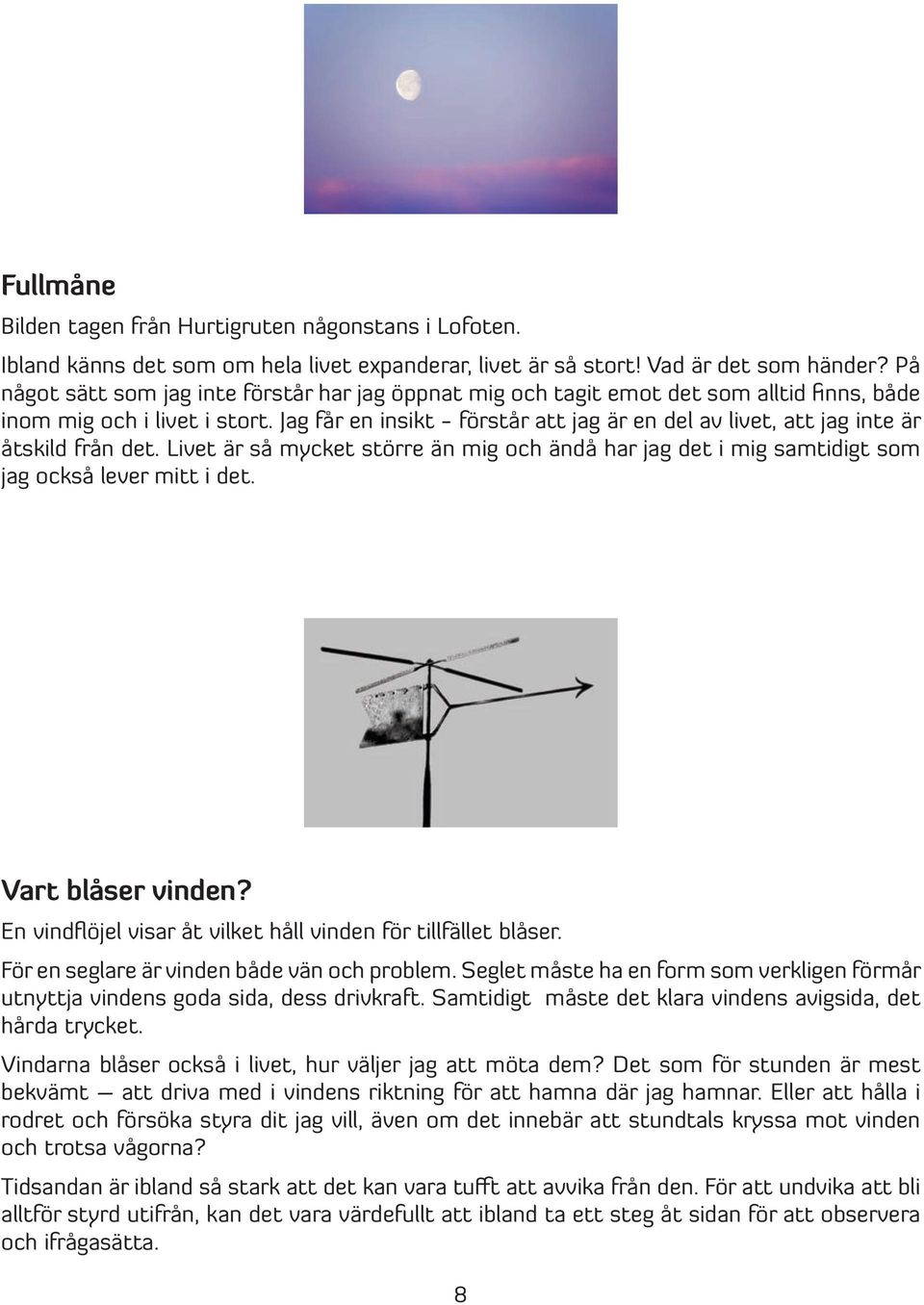 Jag får en insikt - förstår att jag är en del av livet, att jag inte är åtskild från det. Livet är så mycket större än mig och ändå har jag det i mig samtidigt som jag också lever mitt i det.