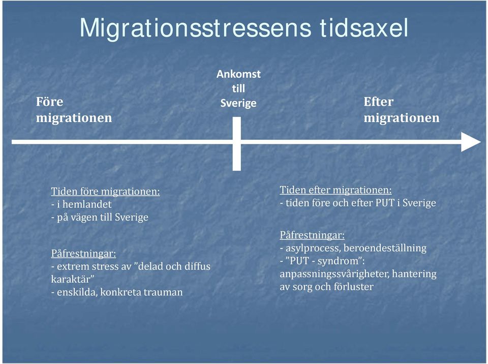 till Sverige Efter migrationen Tiden efter migrationen: tiden före och efter PUT i Sverige