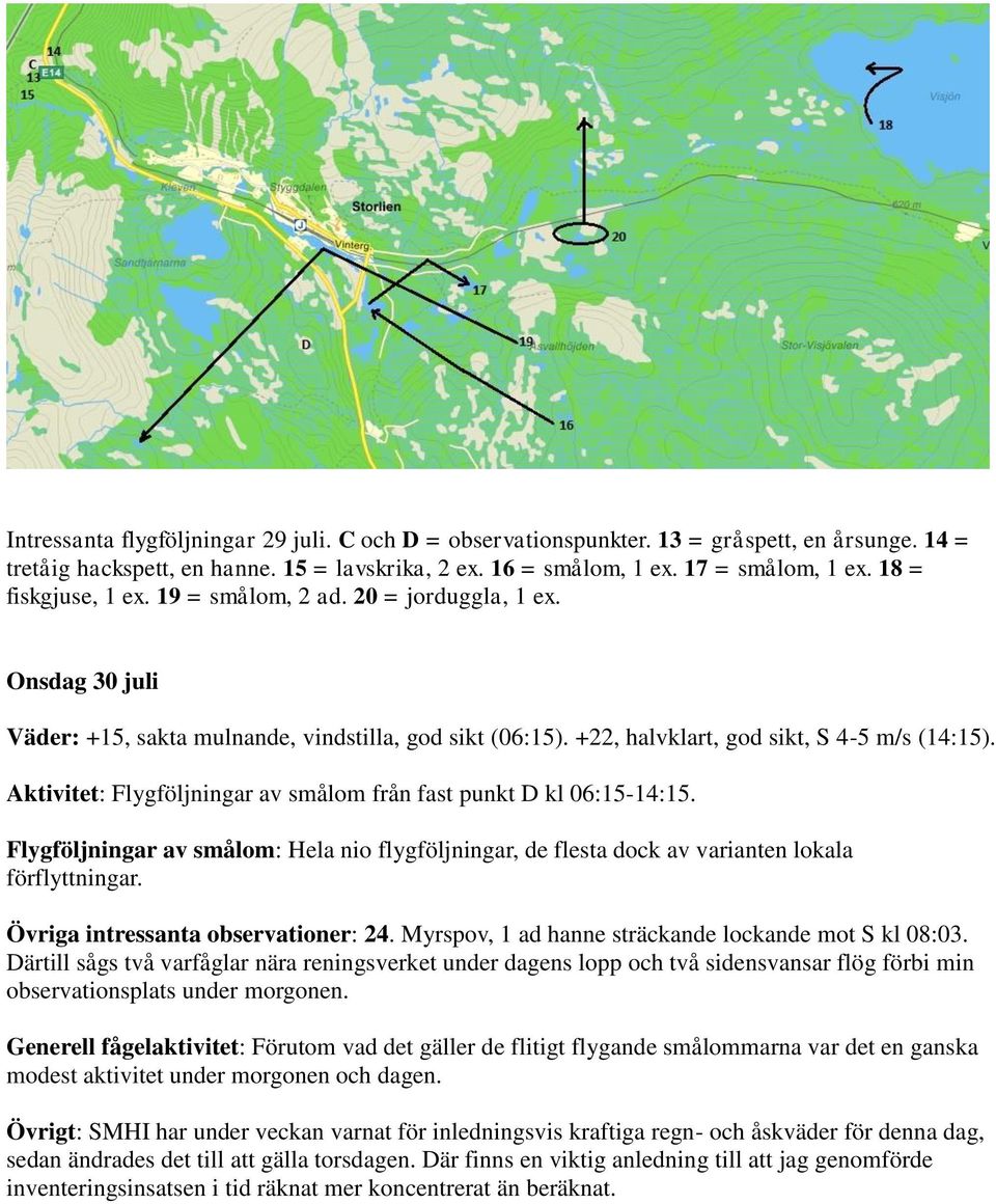 Aktivitet: Flygföljningar av smålom från fast punkt D kl 06:15-14:15. Flygföljningar av smålom: Hela nio flygföljningar, de flesta dock av varianten lokala förflyttningar.