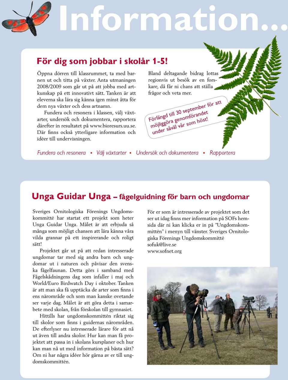 Fundera och resonera i klassen, välj växtarter, undersök och dokumentera, rapportera därefter in resultatet på www.bioresurs.uu.se. Där finns också ytterligare information och idéer till undervisningen.