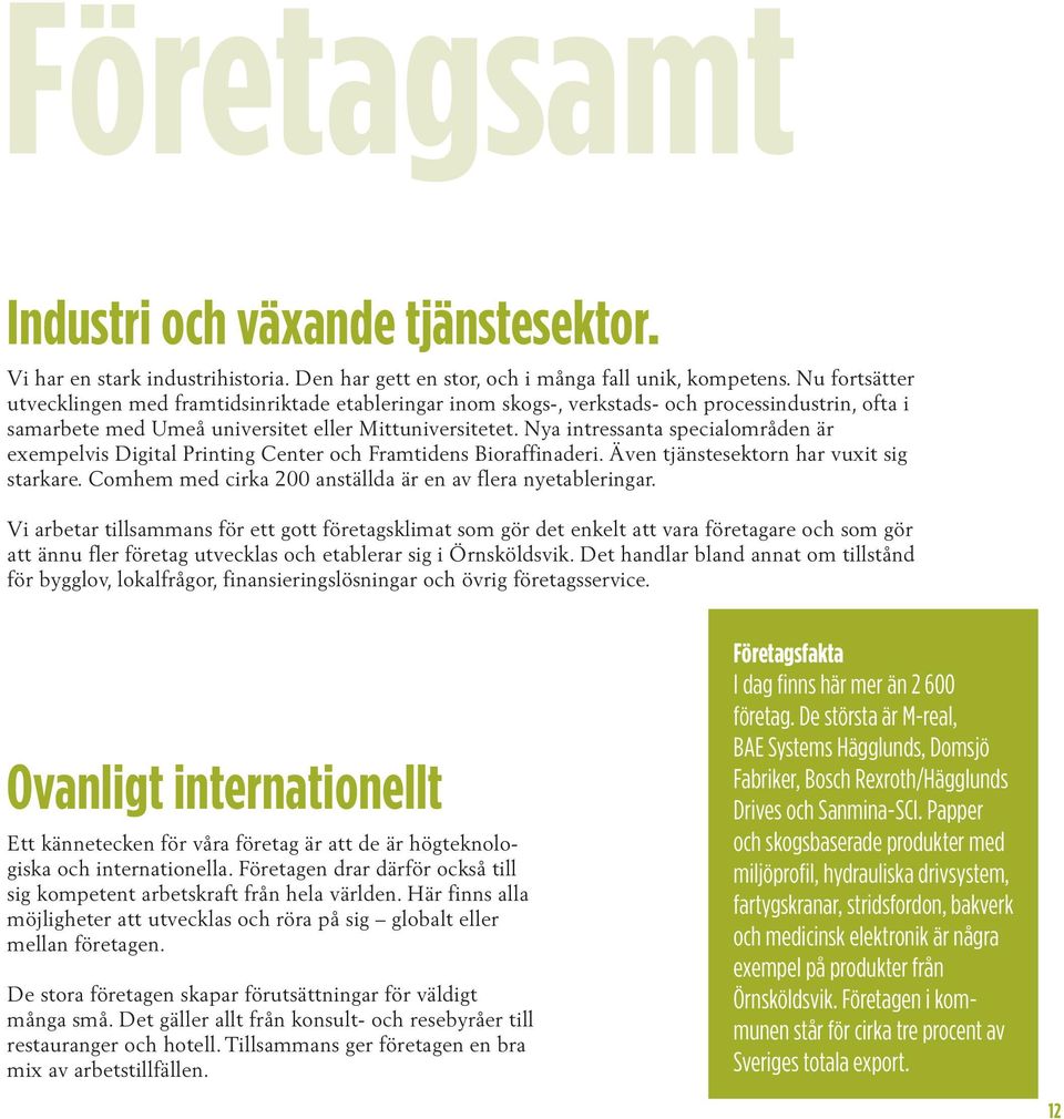 Nya intressanta specialområden är exempelvis Digital Printing Center och Framtidens Bioraffinaderi. Även tjänstesektorn har vuxit sig starkare.