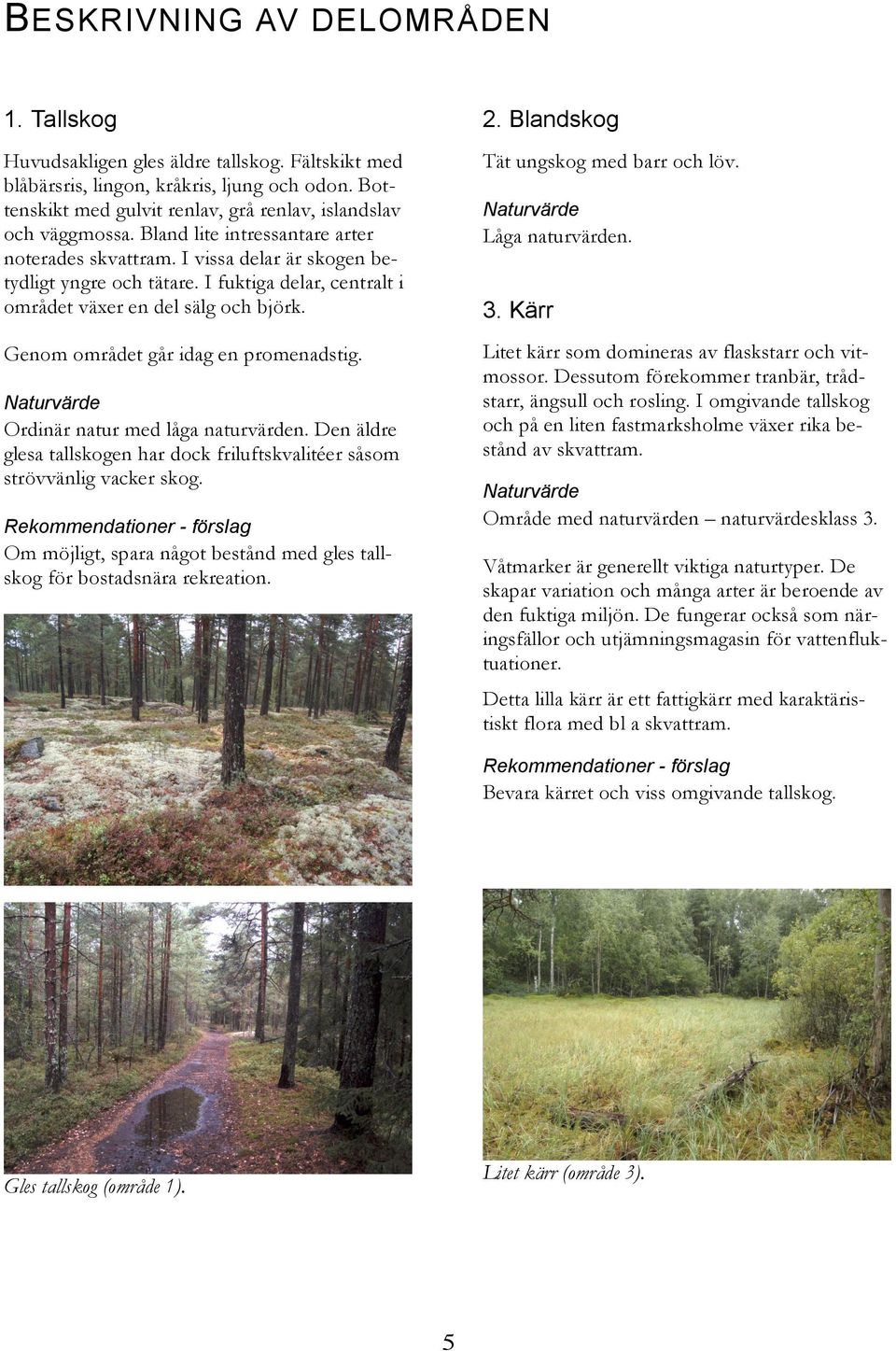 I fuktiga delar, centralt i området växer en del sälg och björk. Tät ungskog med barr och löv. Genom området går idag en promenadstig. Litet kärr som domineras av flaskstarr och vitmossor.