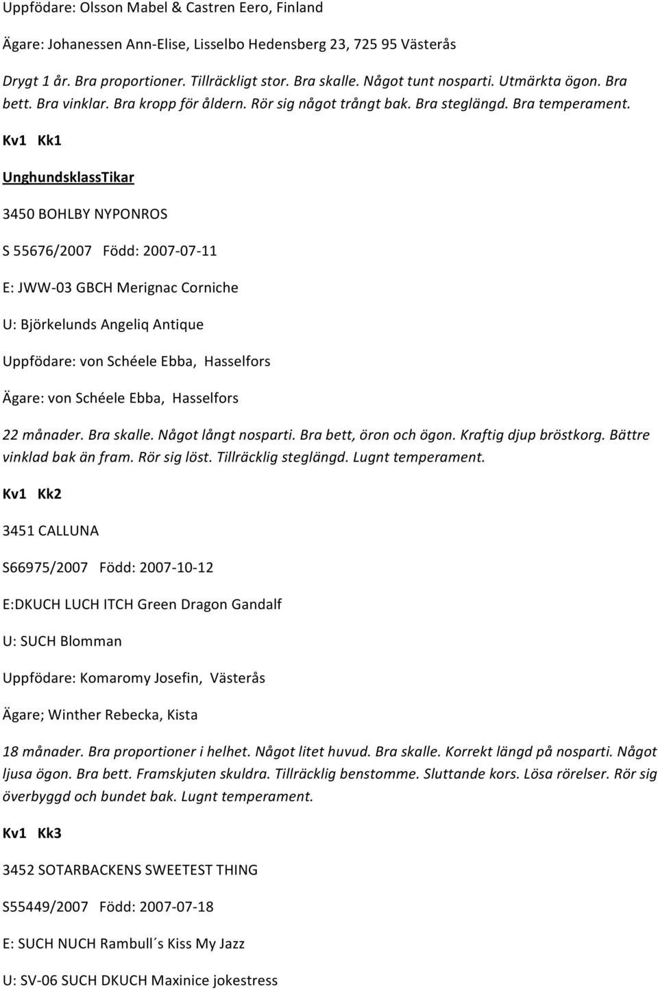 Kv1 Kk1 UnghundsklassTikar 3450 BOHLBY NYPONROS S 55676/2007 Född: 2007 07 11 E: JWW 03 GBCH Merignac Corniche U: Björkelunds Angeliq Antique Uppfödare: von Schéele Ebba, Hasselfors Ägare: von