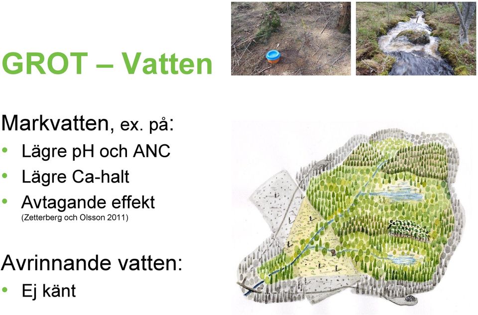 Ca-halt Avtagande effekt