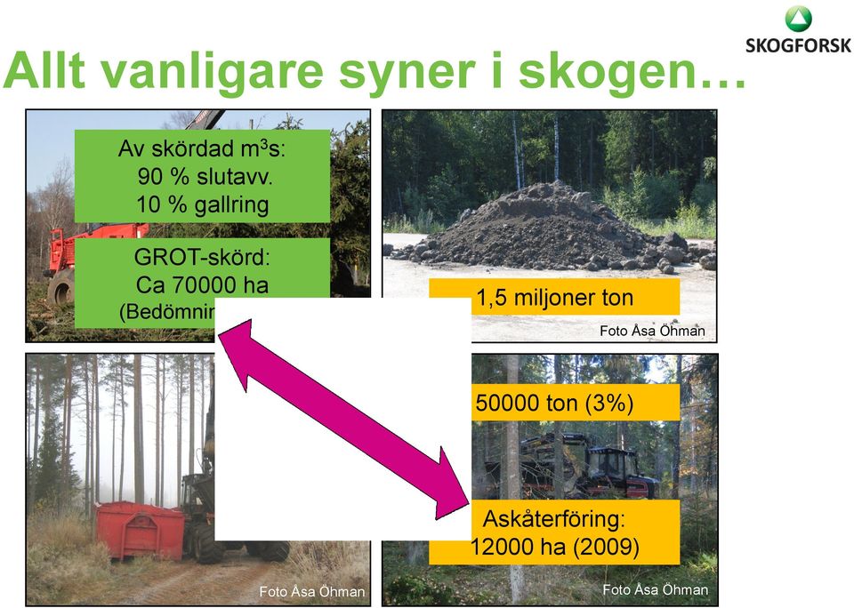 10 % gallring GROT-skörd: Ca 70000 ha (Bedömning SKS) Foto