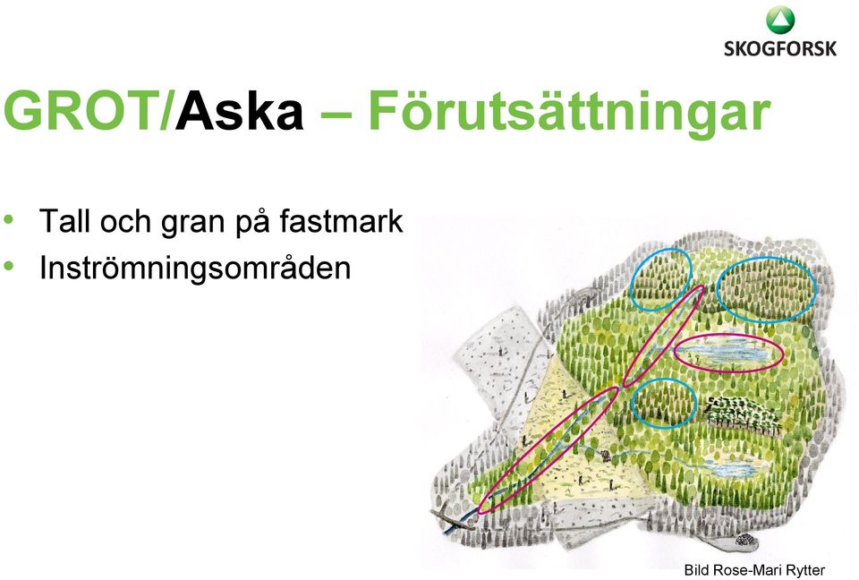 och gran på fastmark