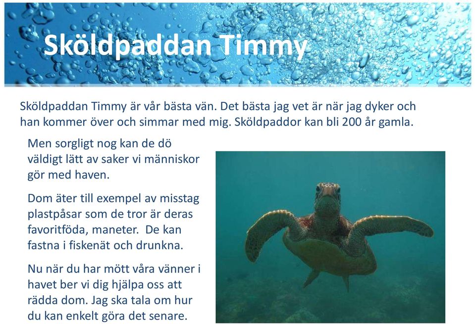 Men sorgligt nog kan de dö väldigt lätt av saker vi människor gör med haven.