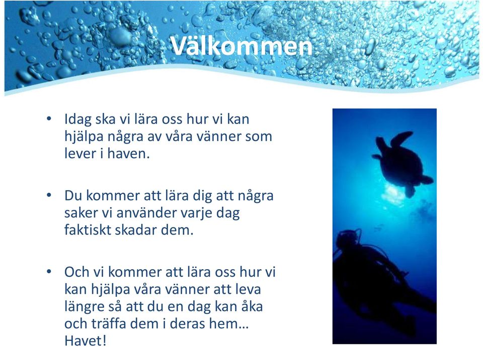 Du kommer att lära dig att några saker vi använder varje dag faktiskt