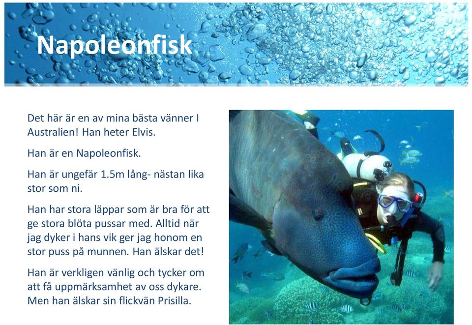 Han har stora läppar som är bra för att ge stora blöta pussar med.