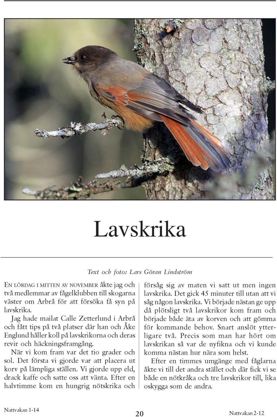 När vi kom fram var det tio grader och sol. Det första vi gjorde var att placera ut korv på lämpliga ställen. Vi gjorde upp eld, drack kaffe och satte oss att vänta.