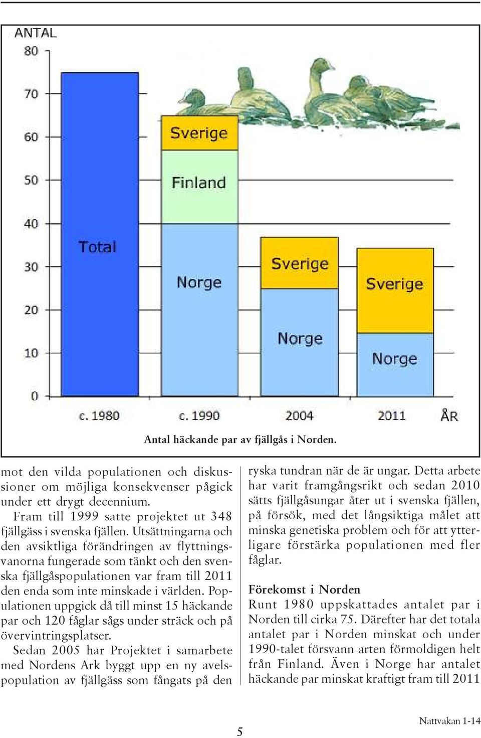 Utsättningarna och den avsiktliga förändringen av flyttningsvanorna fungerade som tänkt och den svenska fjällgåspopulationen var fram till 2011 den enda som inte minskade i världen.