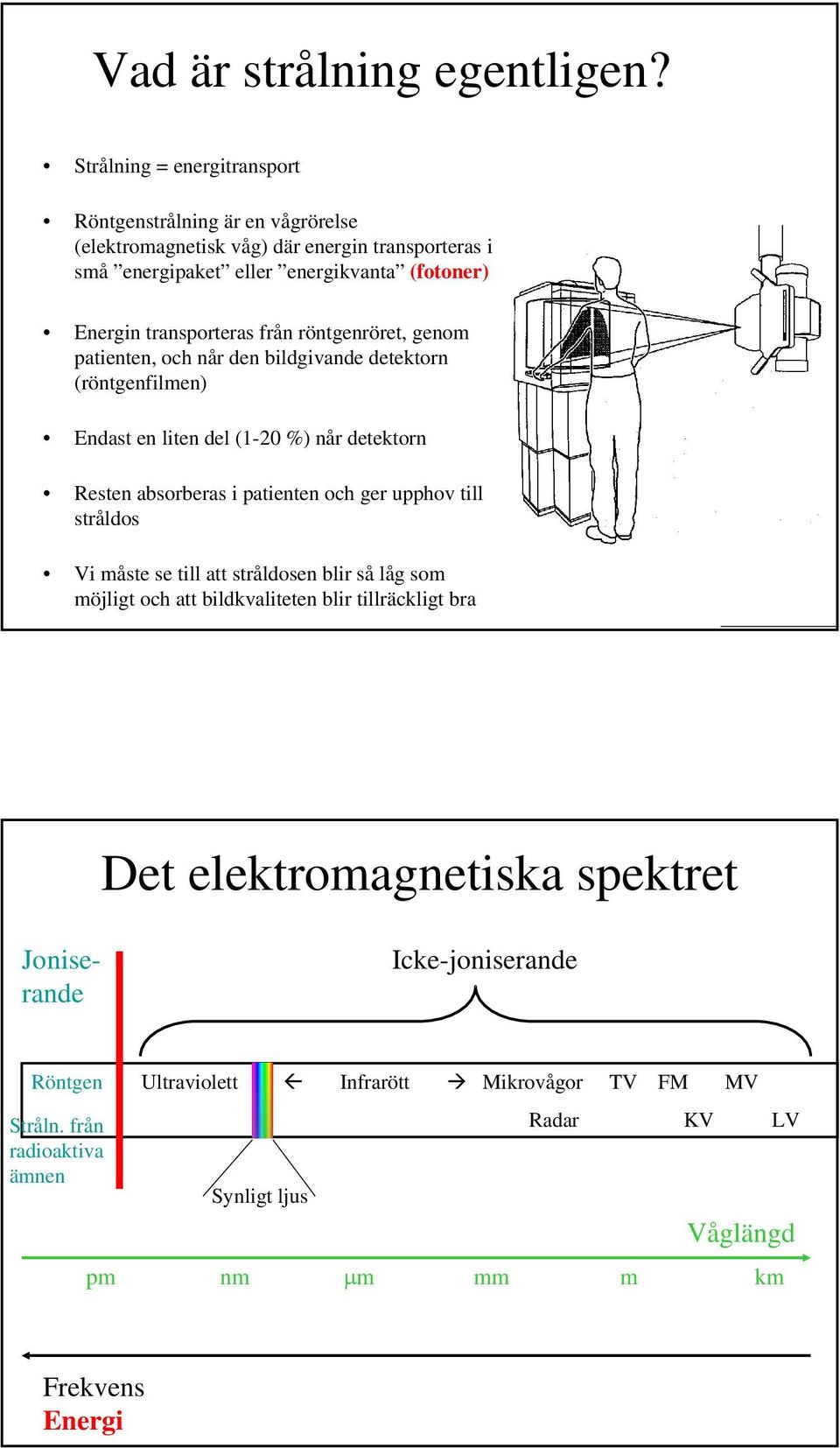 transporteras från röntgenröret, genom patienten, och når den bildgivande detektorn (röntgenfilmen) Endast en liten del (1-20 %) når detektorn Resten absorberas i patienten och