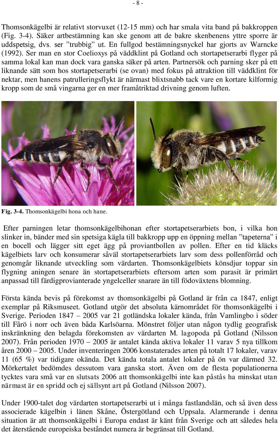 Ser man en stor Coelioxys på väddklint på Gotland och stortapetserarbi flyger på samma lokal kan man dock vara ganska säker på arten.
