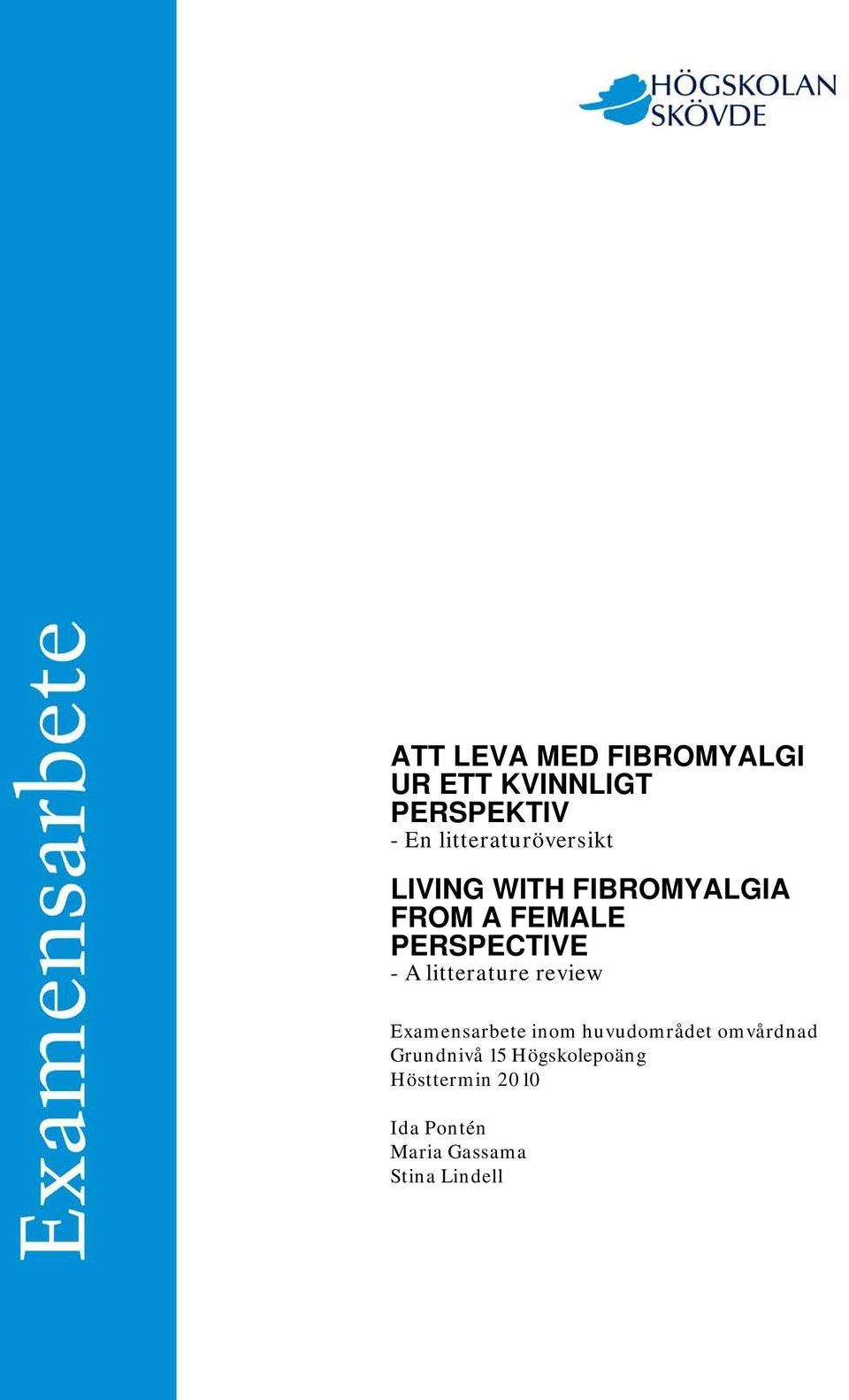 PERSPECTIVE - A litterature review Examensarbete inom huvudområdet