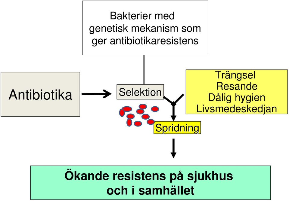 Trängsel Resande Dålig hygien Livsmedeskedjan