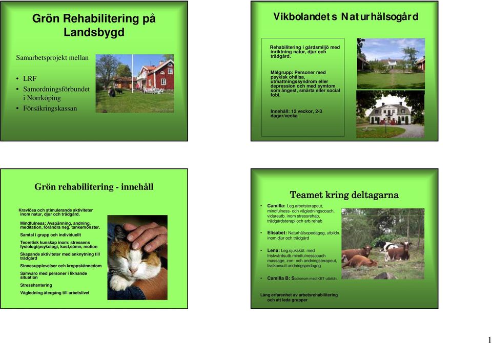 Innehåll: 12 veckor, 2-3 dagar/vecka Grön rehabilitering - innehåll Kravlösa och stimulerande aktiviteter inom natur, djur och trädgård. Mindfulness: Avspänning, andning, meditation, förändra neg.