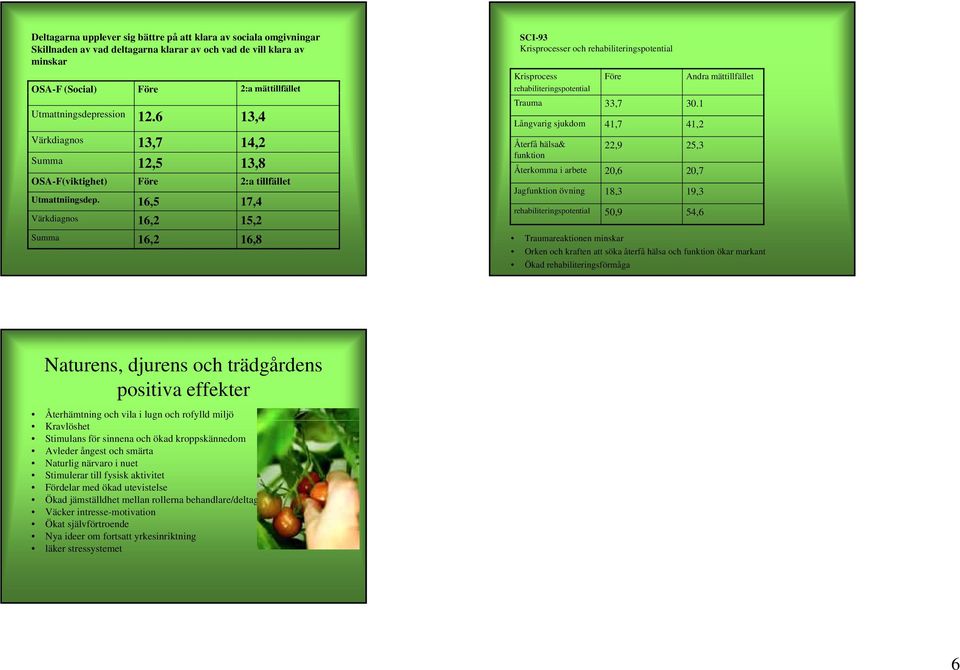 16,5 17,4 Värkdiagnos 16,2 15,2 Summa 16,2 16,8 SCI-93 Krisprocesser och rehabiliteringspotential Krisprocess Före Andra mättillfället rehabiliteringspotential Trauma 33,7 30.