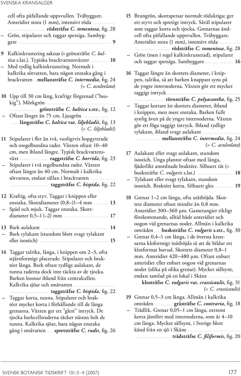 .. mellansträfse C. intermedia, fig. 24 (= C. aculeolata) 10 Upp till 30 cm lång, kraftigt förgrenad ( buskig ). Mörkgrön...... grönsträfse C. baltica s.str., fig. 12 Oftast längre än 75 cm. Ljusgrön.