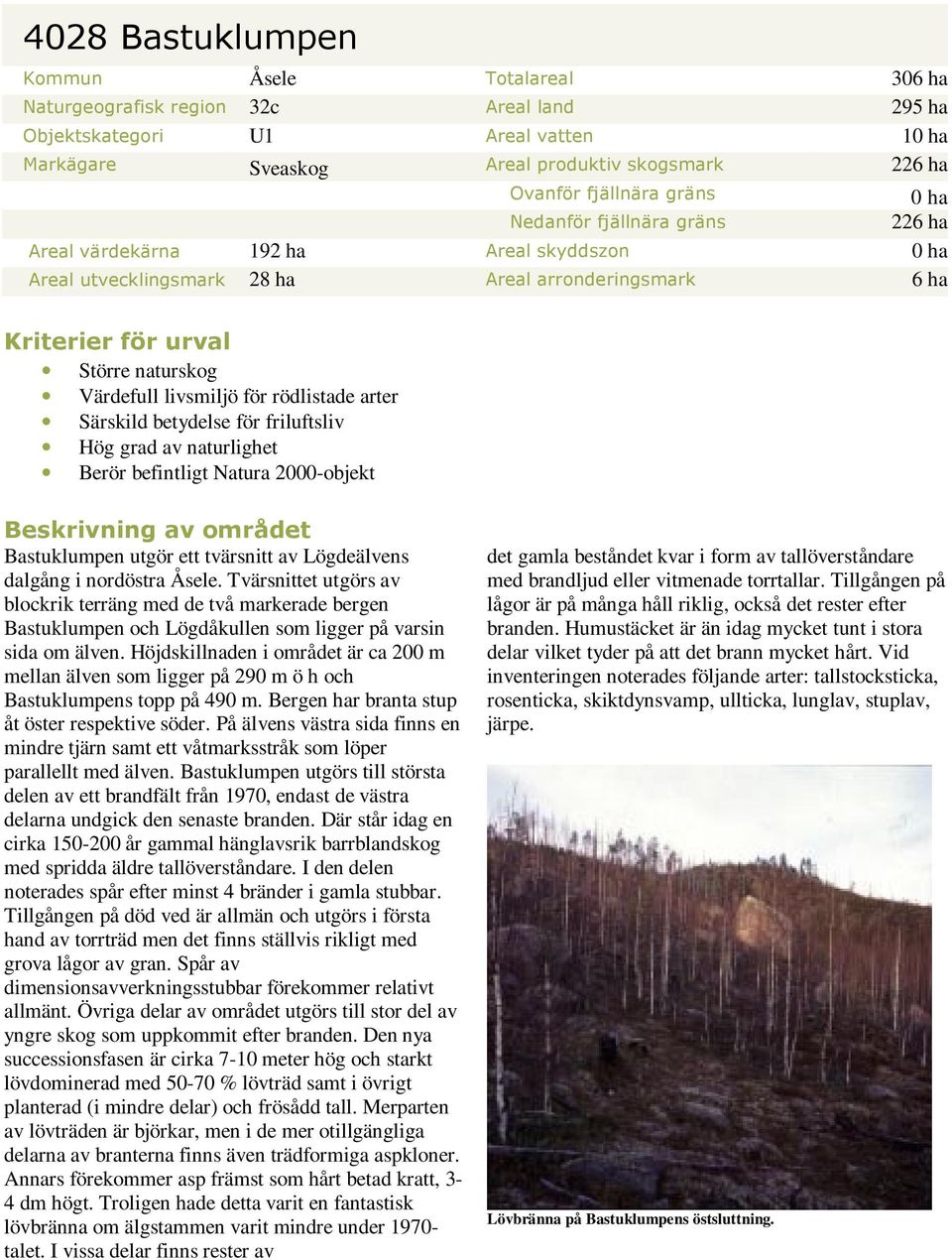 livsmiljö för rödlistade arter Särskild betydelse för friluftsliv Hög grad av naturlighet Berör befintligt Natura 2000-objekt Beskrivning av området Bastuklumpen utgör ett tvärsnitt av Lögdeälvens