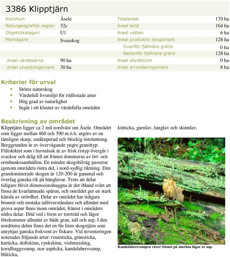 för rödlistade arter Hög grad av naturlighet Ingår i ett kluster av värdefulla områden Beskrivning av området Klipptjärn ligger ca 2 mil nordväst om Åsele. Området som ligger mellan 460 och 590 m.ö.h. utgörs av en tämligen skarp, småkuperad och blockig östsluttning.