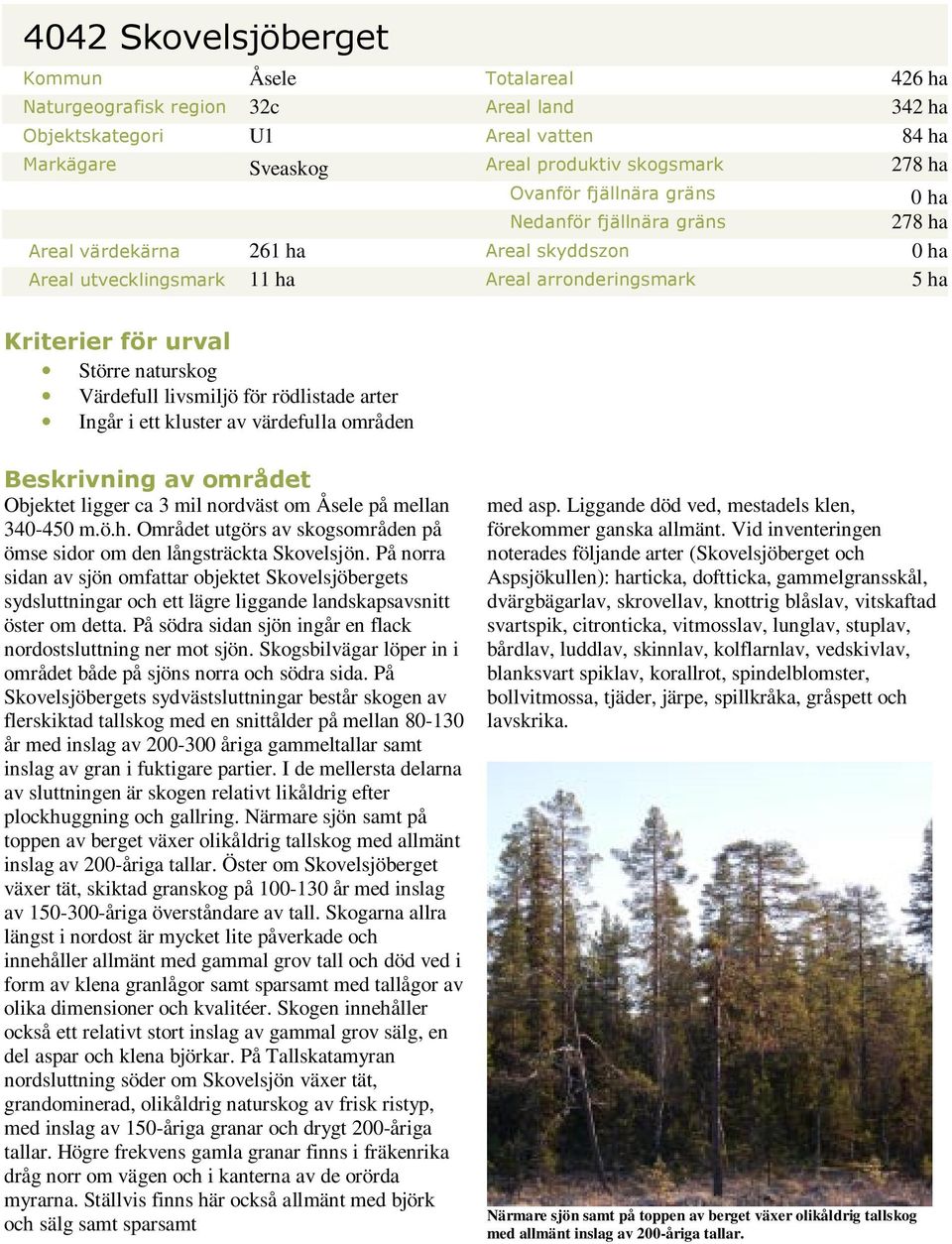 livsmiljö för rödlistade arter Ingår i ett kluster av värdefulla områden Beskrivning av området Objektet ligger ca 3 mil nordväst om Åsele på mellan 340-450 m.ö.h.