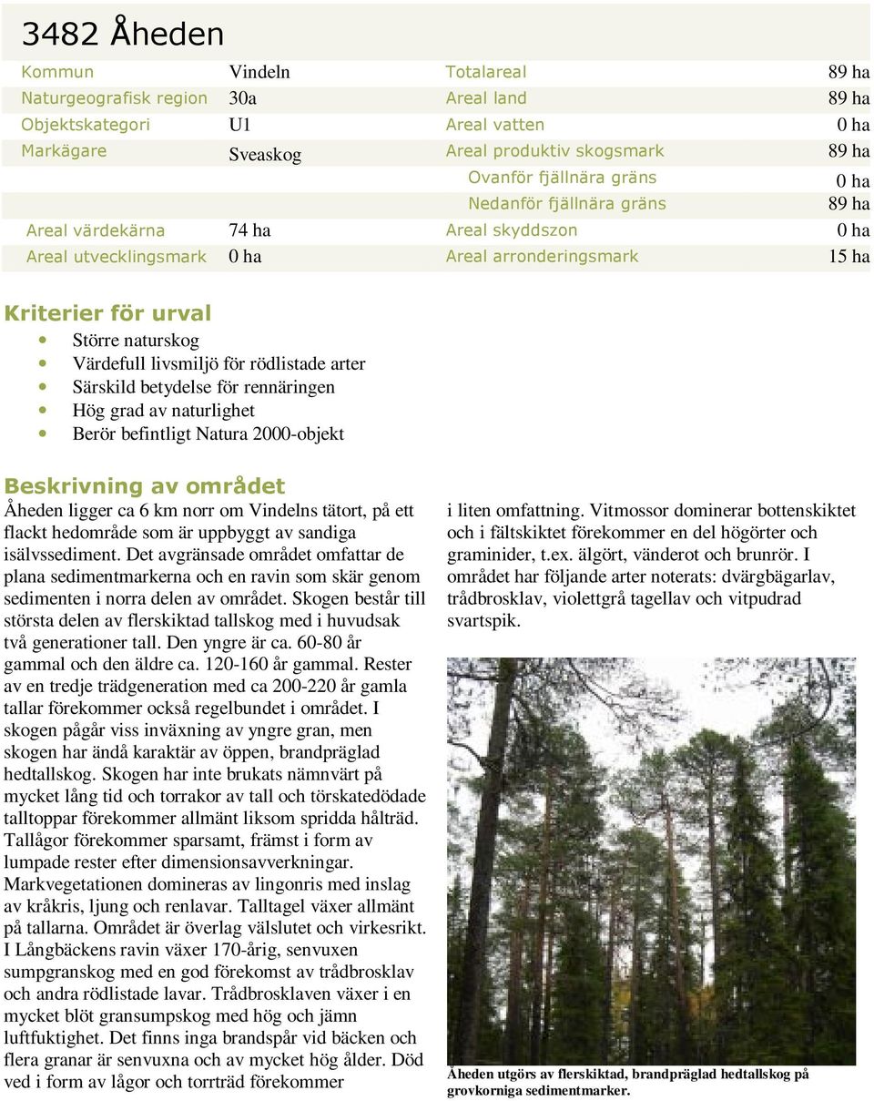 rödlistade arter Särskild betydelse för rennäringen Hög grad av naturlighet Berör befintligt Natura 2000-objekt Beskrivning av området Åheden ligger ca 6 km norr om Vindelns tätort, på ett flackt