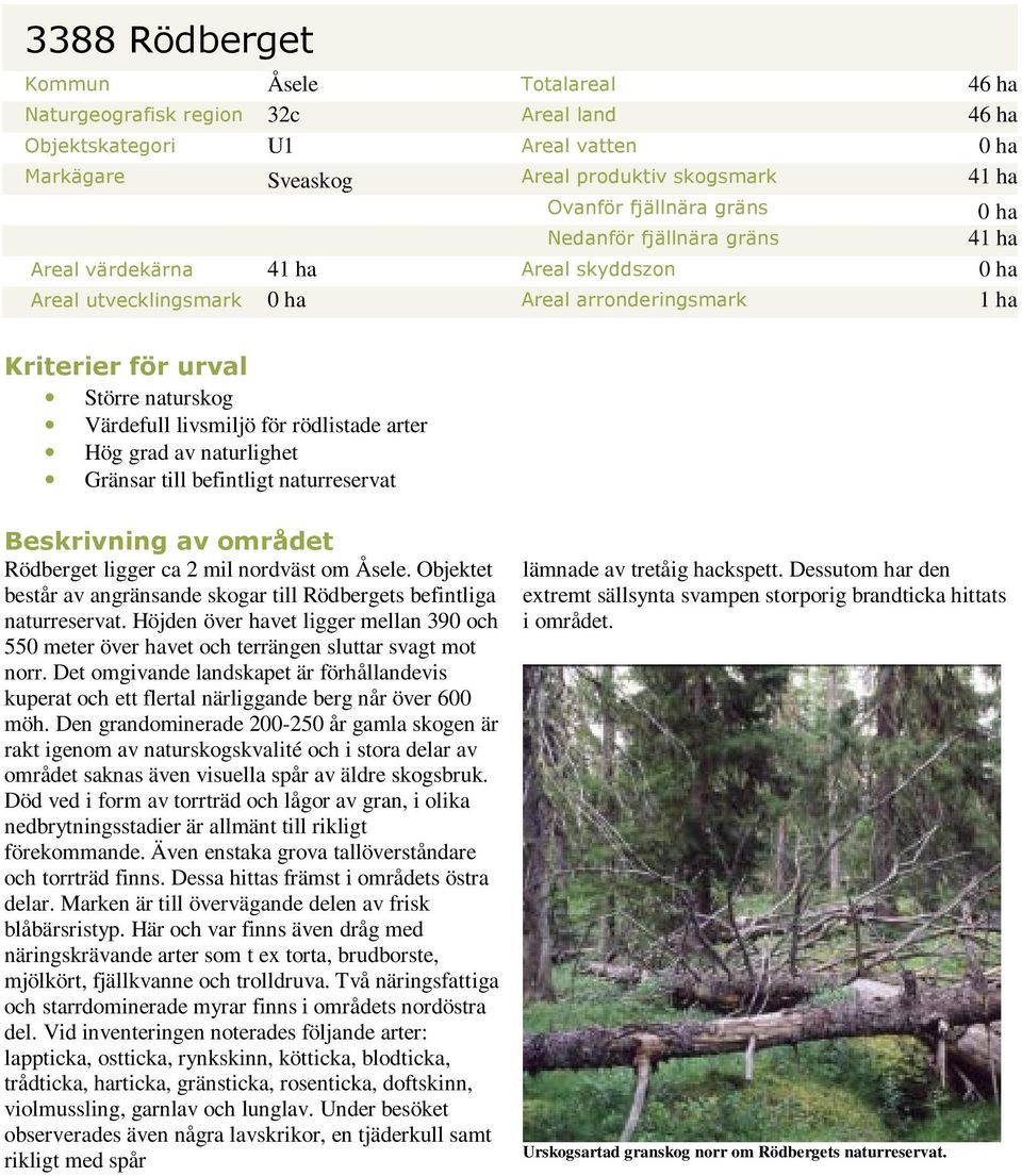 för rödlistade arter Hög grad av naturlighet Gränsar till befintligt naturreservat Beskrivning av området Rödberget ligger ca 2 mil nordväst om Åsele.