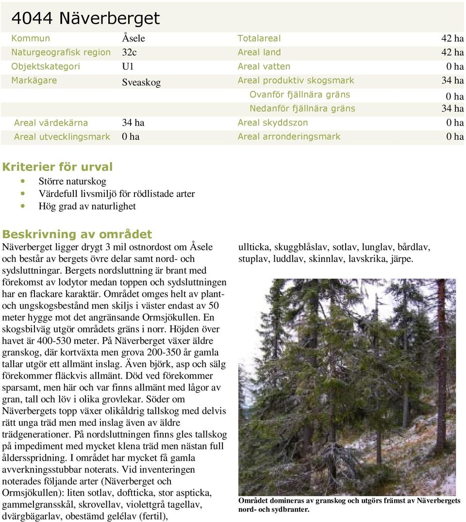 för rödlistade arter Hög grad av naturlighet Beskrivning av området Näverberget ligger drygt 3 mil ostnordost om Åsele och består av bergets övre delar samt nord- och sydsluttningar.