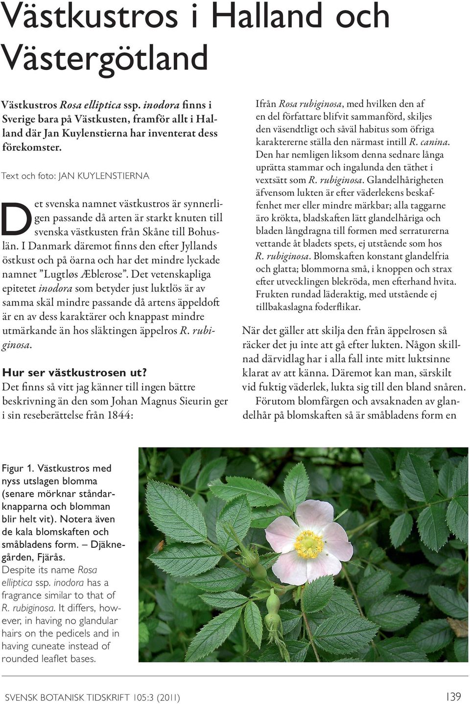 I Danmark däremot finns den efter Jyllands östkust och på öarna och har det mindre lyckade namnet Lugtløs Æblerose.