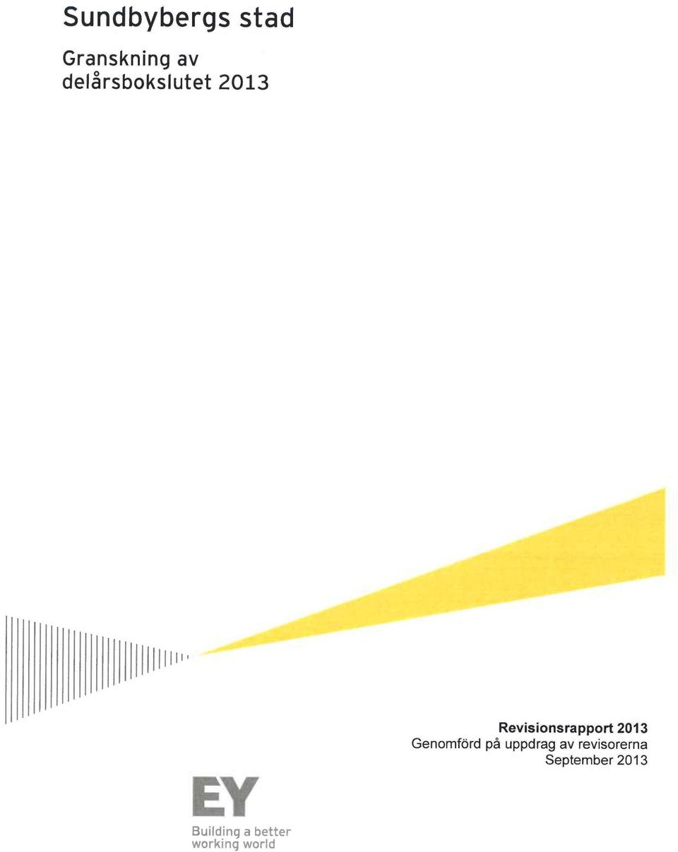 Revisjonsrapport 2013 Genomford på