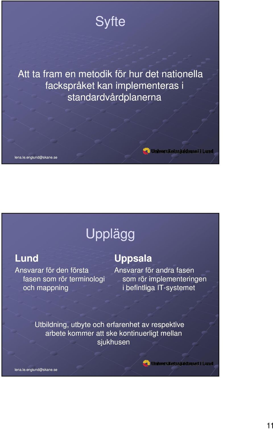 mappning Uppsala Ansvarar för andra fasen som rör implementeringen i befintliga IT-systemet