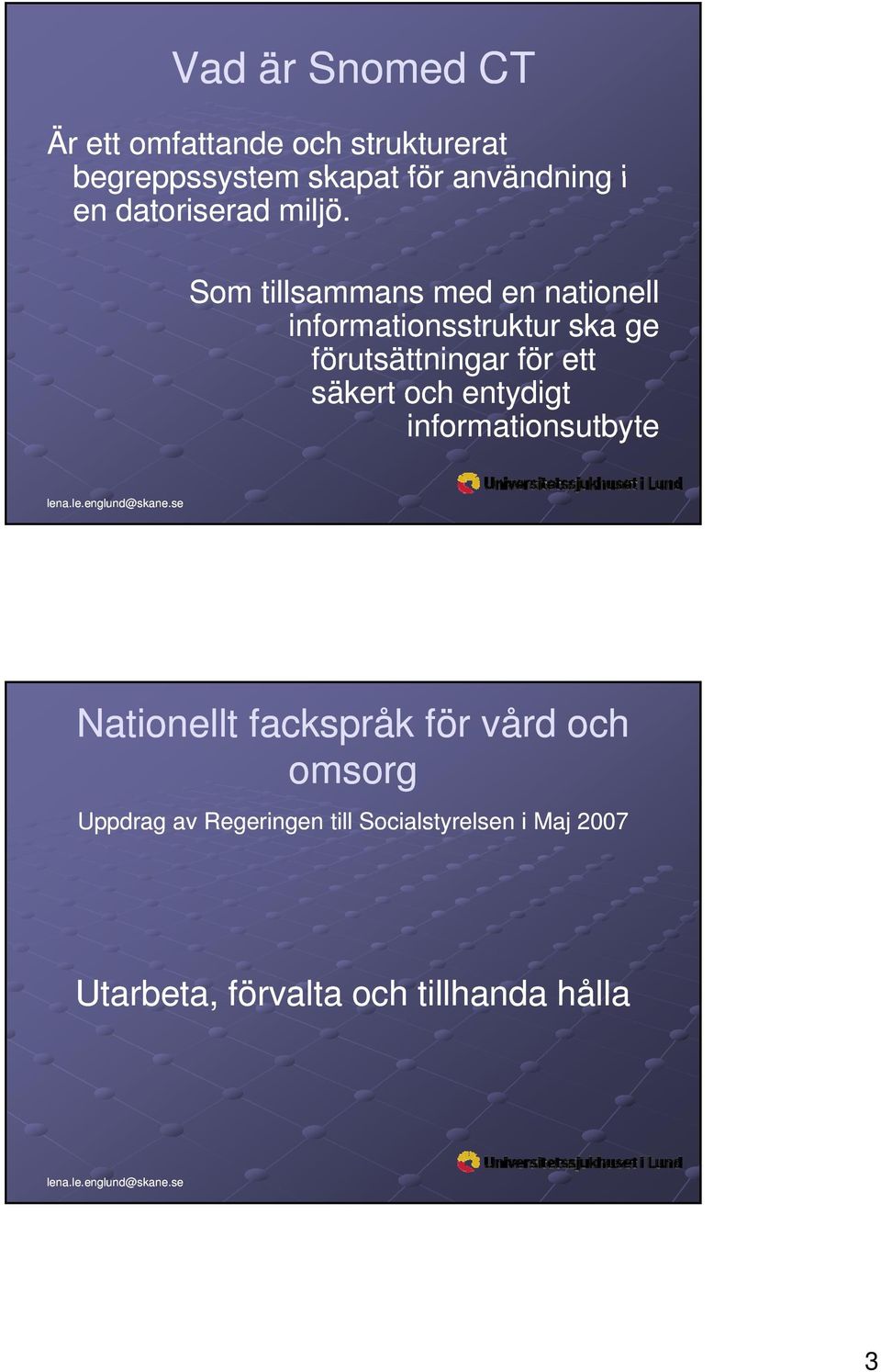 Som tillsammans med en nationell informationsstruktur ska ge förutsättningar för ett säkert