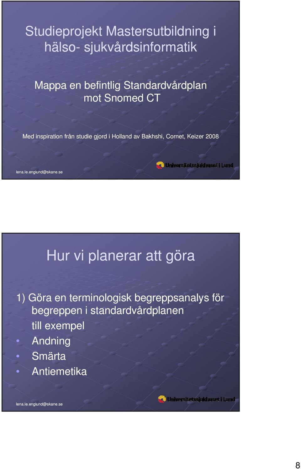 Bakhshi, Cornet, Keizer 2008 Hur vi planerar att göra 1) Göra en terminologisk