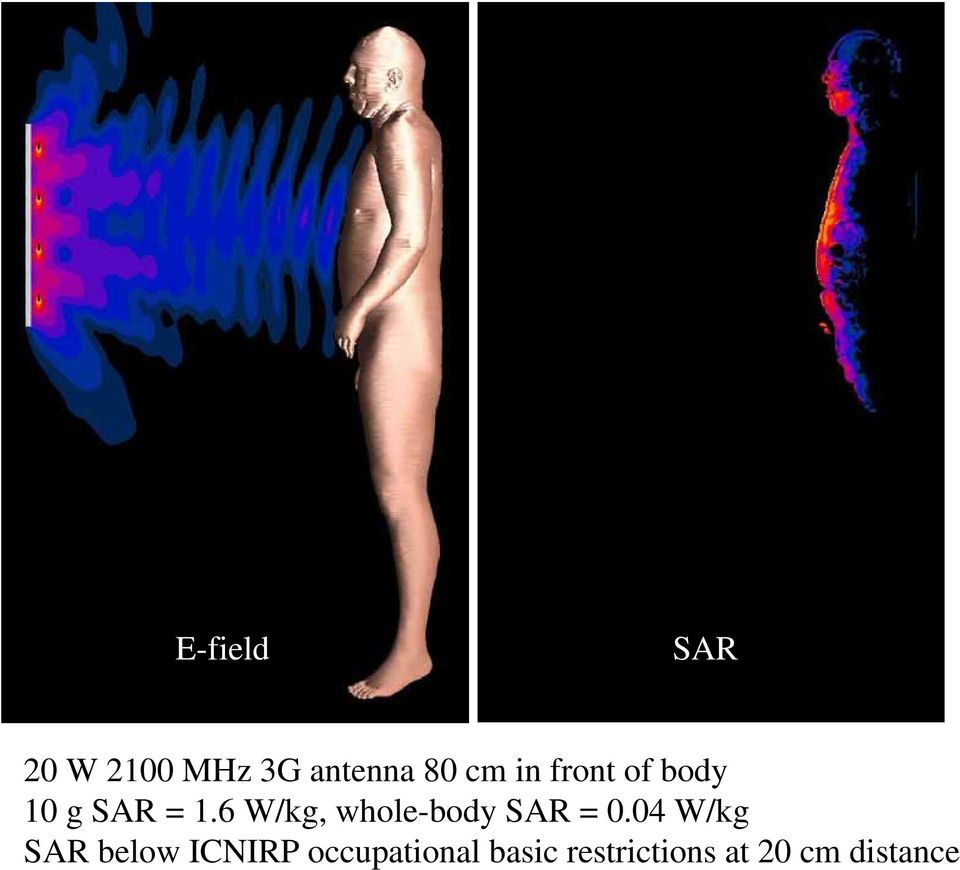 6 W/kg, whole-body SAR = 0.